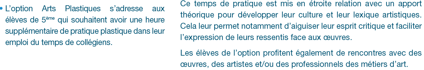 Essai option Arts Plastiques
