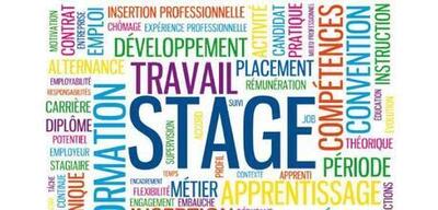Image Stage