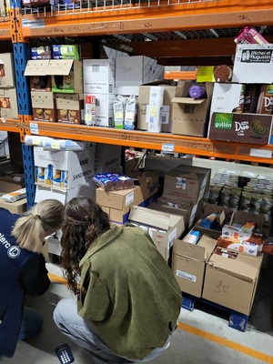 Immersion professionnelle (2)